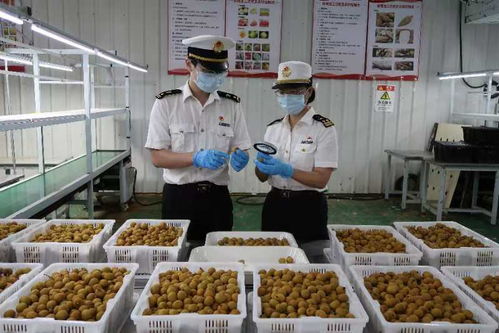 佛山海關(guān)深化服務(wù)家用電器企業(yè)長效機制 助力產(chǎn)業(yè)高質(zhì)量發(fā)展