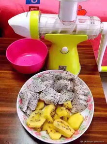 果語榨汁機廠家直銷 享受正品批發(fā)價格，輕松制作健康蔬菜汁